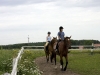 kurki-mazury